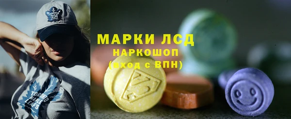 ПСИЛОЦИБИНОВЫЕ ГРИБЫ Арсеньев