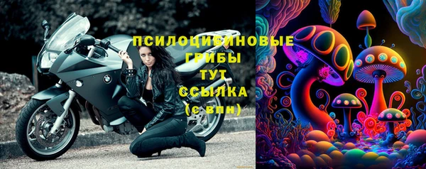 каннабис Аркадак