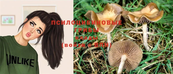 ПСИЛОЦИБИНОВЫЕ ГРИБЫ Арсеньев