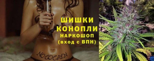 каннабис Аркадак
