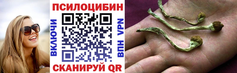 Галлюциногенные грибы Cubensis  купить   Талица 